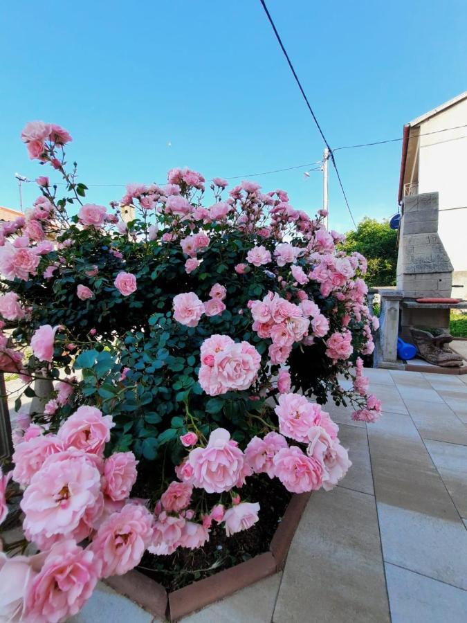 Lana 1 Otel Senj  Dış mekan fotoğraf